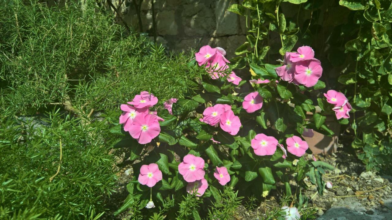 Nanna'S Little Paradise Хвар Экстерьер фото